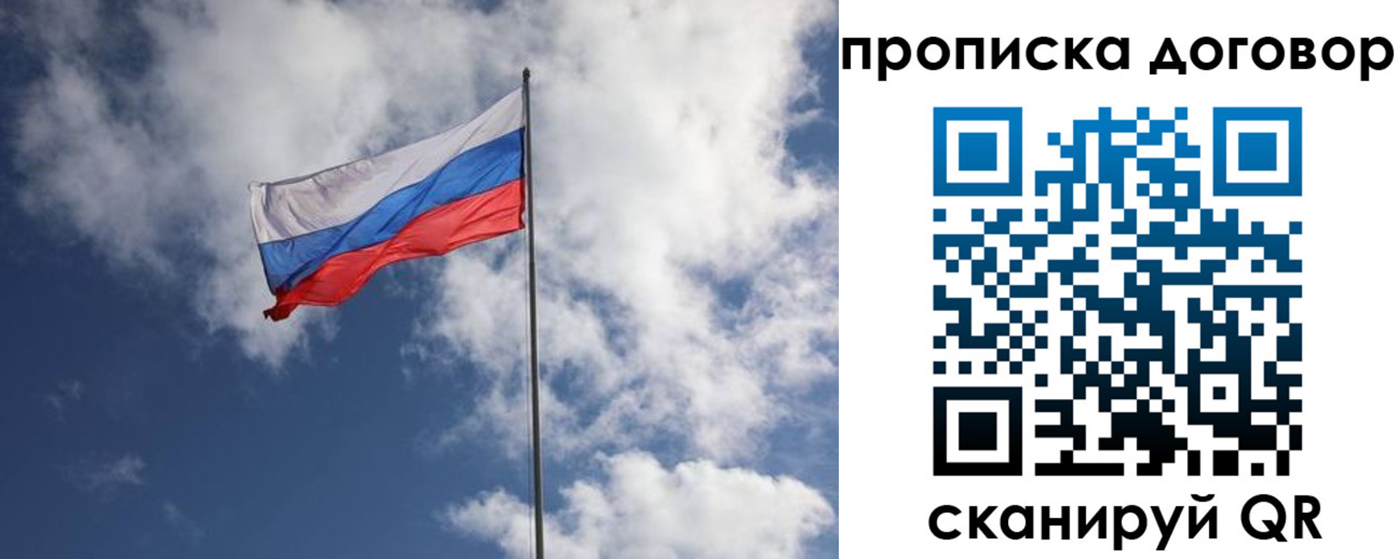 прописка поиск в Белгороде